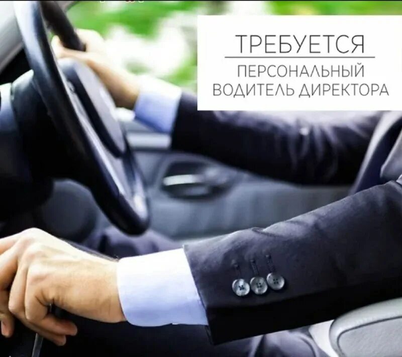 водитель в машине. личный автомобиль. личный водитель. требуется персональный водитель. требуется персональный водитель.