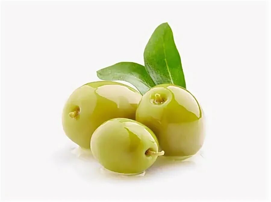 Olive white. Маслины на белом фоне. Olive white. Оливки на белом фоне. Веточка оливки.