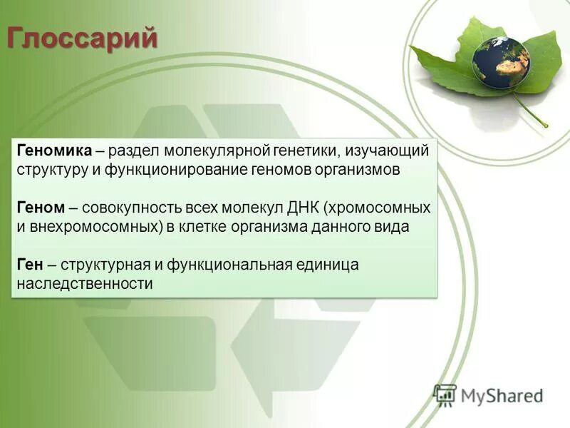 основы селекции и биотехнологии тест