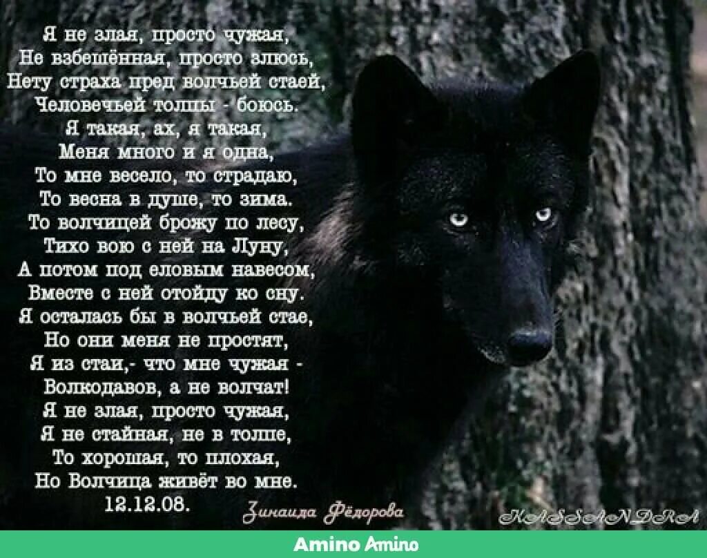 Произведение л волковой всем выйти из кадра. Стихи про Волков. Стих про волка. Одинокий волк стихи. Стихи про волчицу одиночку.