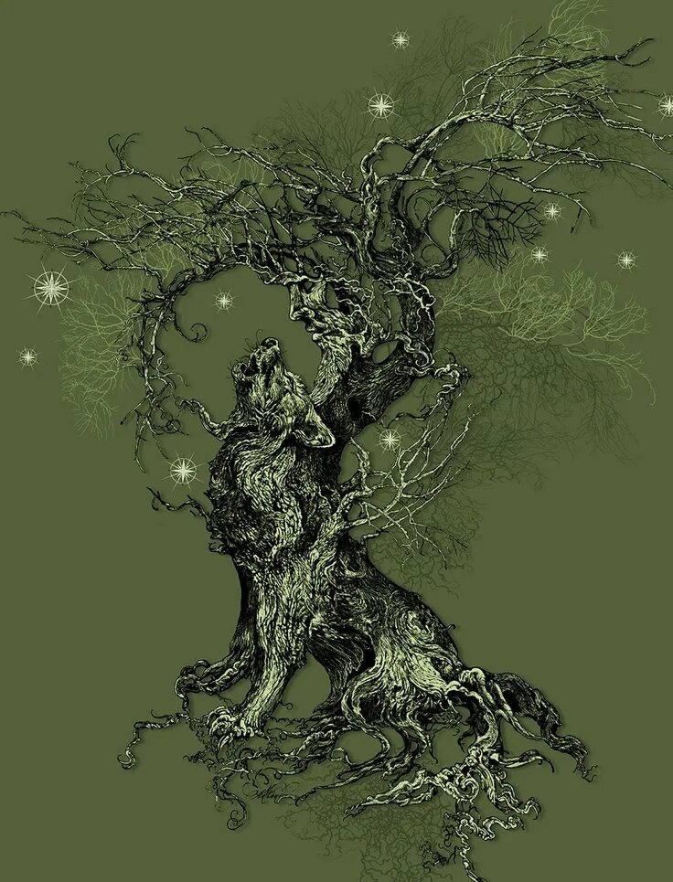 Wolf tree