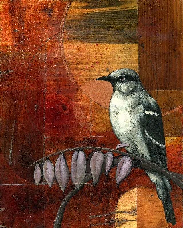 Eder mockingbird