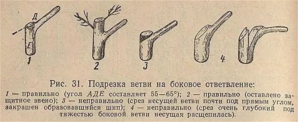Подрезка. Подрезка