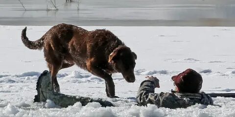 Спасти пока