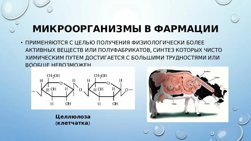 Микроорганизмы используемые в биотехнологии. Применение микроорганизмов в биотехнологии. Применение бактерий в биотехнологии. Микроорганизмы в биотехнологии презентация. Микробная биотехнология.