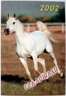 2002 год лошади