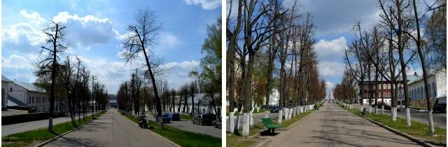 Молочная гора 1 кострома