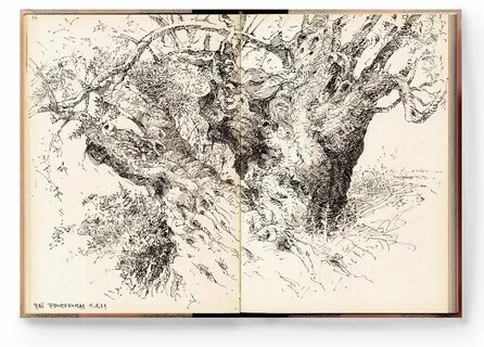 Sketch Journal, Sketch Book, Arch Of Titus, Tree Drawing, Rollerball Pen, W...