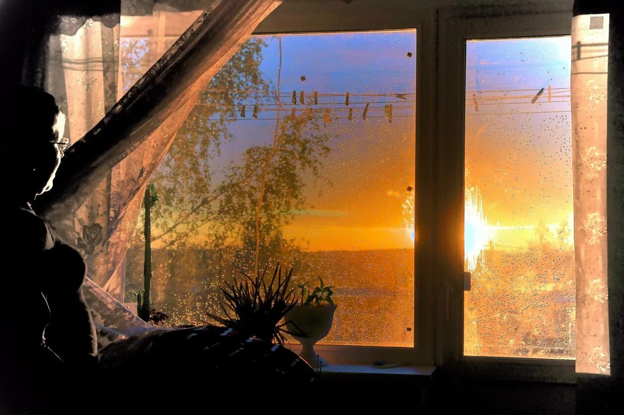Мне солнышко в окно стучит. Окно вечер. Осеннее окно. Пейзаж в окне. У окна.