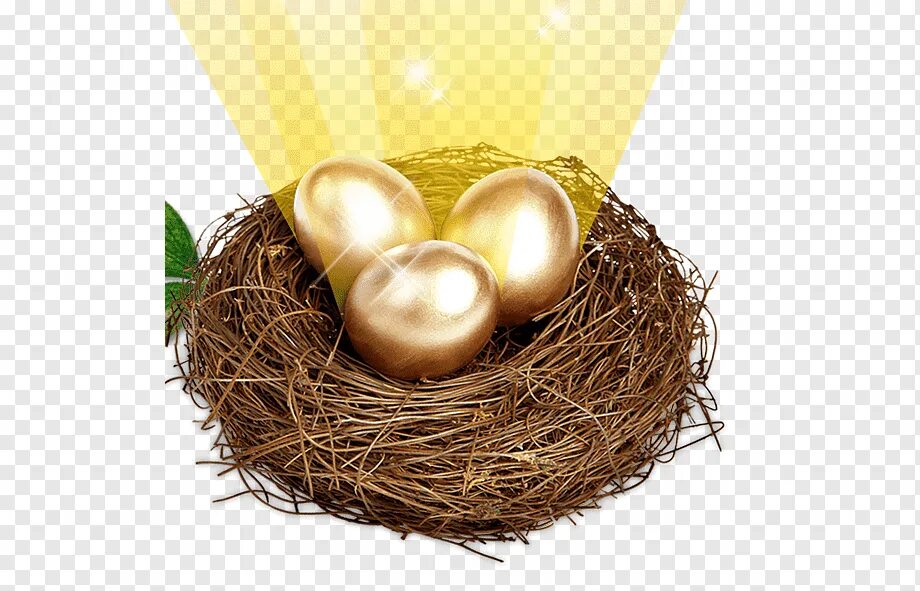 Яйцо золотое в тележке. Золотые пасхальные яйца. Golden bird egg. Золотое яичко пасхальное. Золотое яйцо forager.