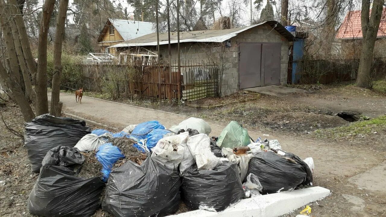 Демонтаж дачного дома фон. Мусор на дачном участке. Вывоз дачу. Хлам на участке. Вывоз дачу.