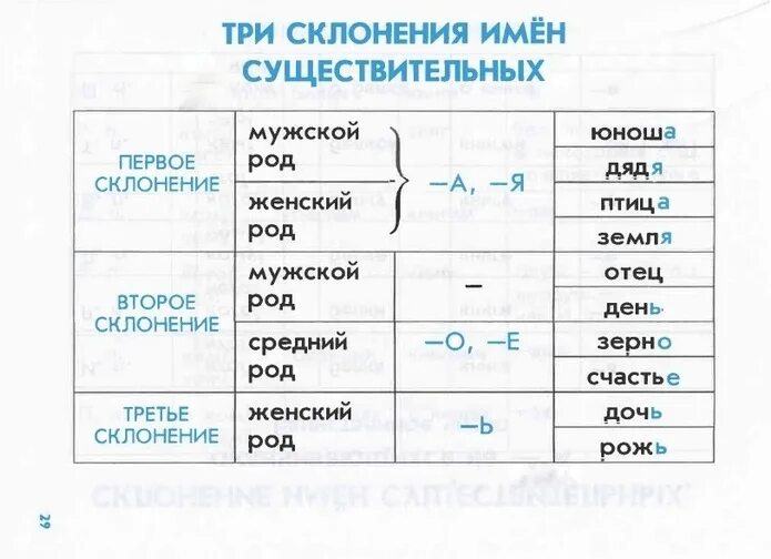 Существительное мужского рода 1 склонения. Слова 1 склонения мужского рода. Склонение имен существительных мужского рода. Род имён существительных 1 склонения.