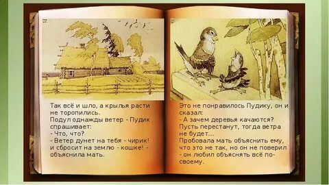 Воробьишко 2 класс