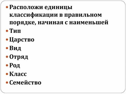 Систематическая категория между порядком и родом