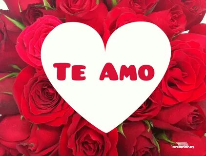 Amo para