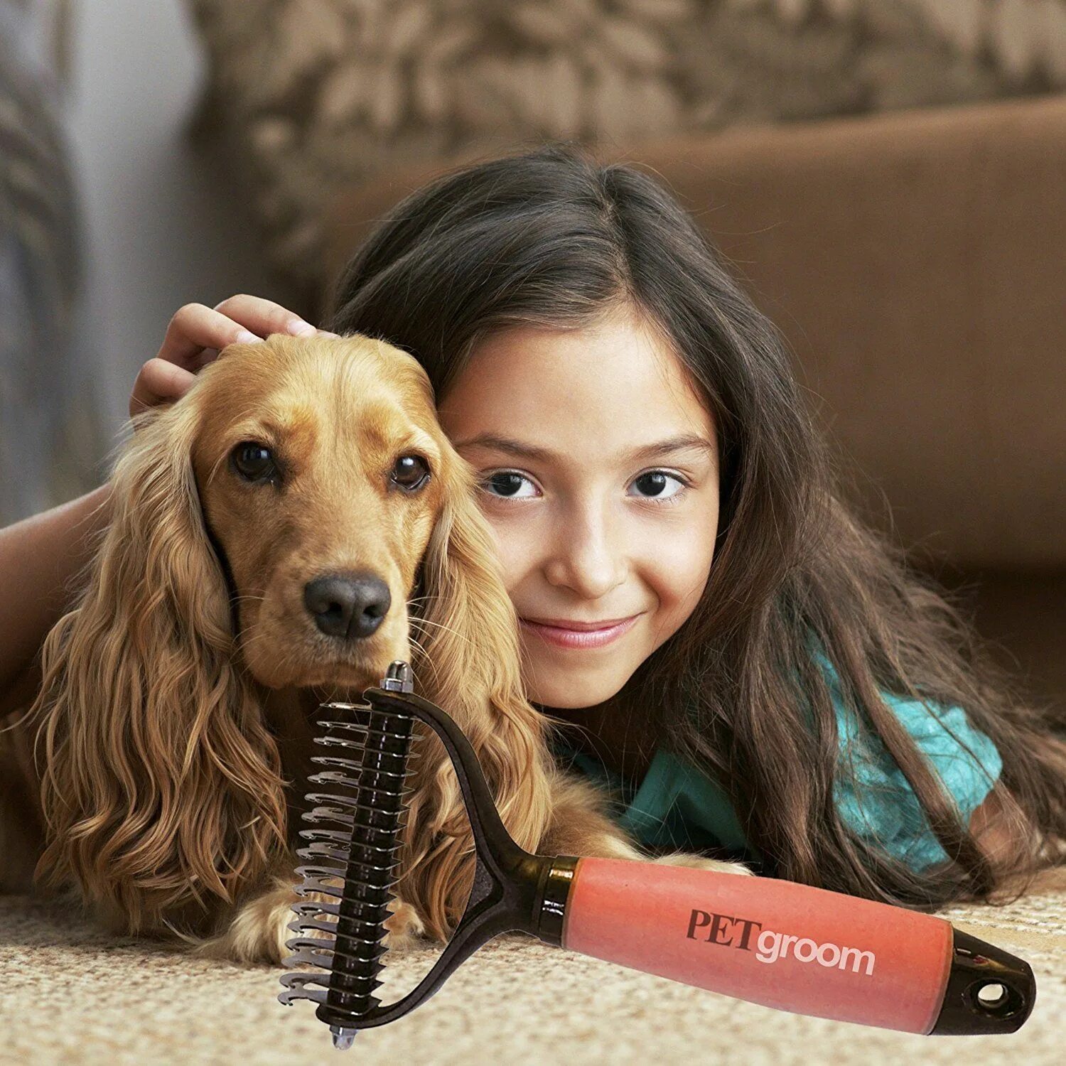 How to get a pet. How to get a pet