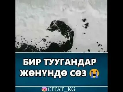 Бир тууган