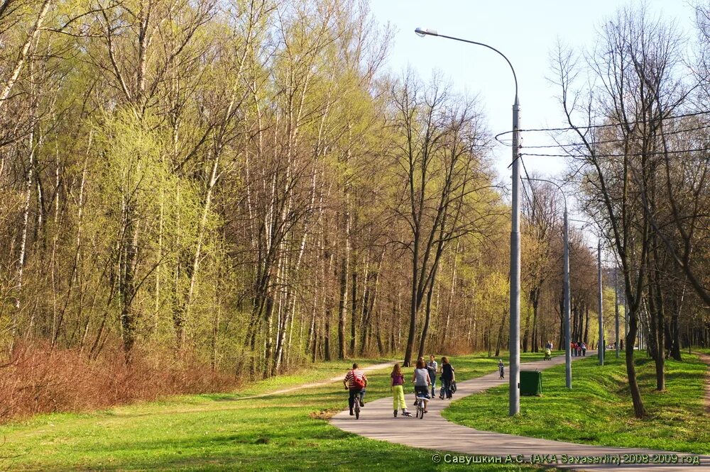 Места для прогулок в москве весной. Парк Измайлово. Лесопарк Измайлово. Измайловский лесопарк Москва. Измайловский ПКИО.