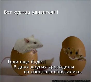 Толи еще будет