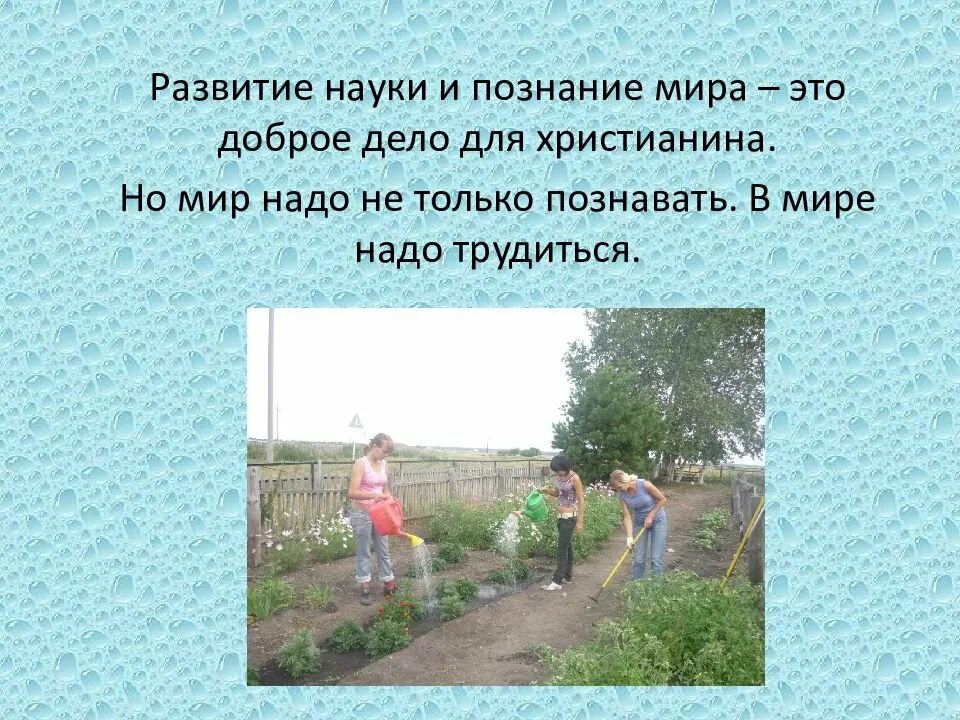 Отношение христианина к природе презентация. Отношение христианина к природе. Презентация отношение христианина к природе. Проект на тему отношение христианина к природе. Сообщение отношение к природе.