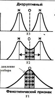 Отборы графики