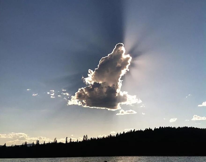 Look at those enormous black clouds. Необычные облака. Виды облаков. На что похожи облака. Облако похожее на волка.