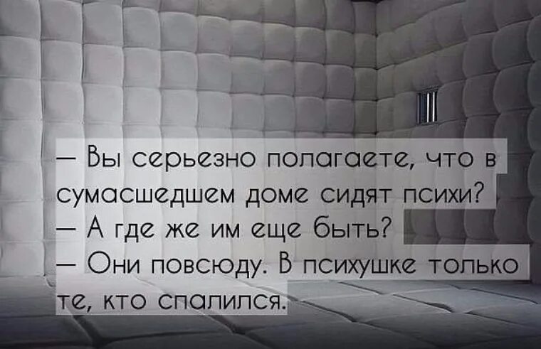 Але мама я в психушке. Афоризмы про СУМАСШЕДШИХ. Сумасшедший дом цитаты. Цитаты про психов. Цитаты душевнобольных.