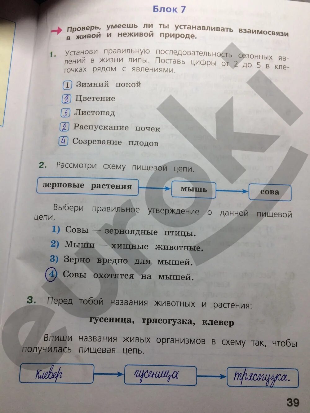 Хорошо весной кругом все зелено впр ответы. Тетрадь ВПР окружающий мир 4 класс тетрадь. Домашнее задание 4 класс ВПР. ВПР окружающий мир. ВПР.окружающий мир 4 класс.