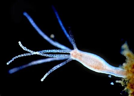 Seksual qiz bilan sohilda jinsiy aloqa video