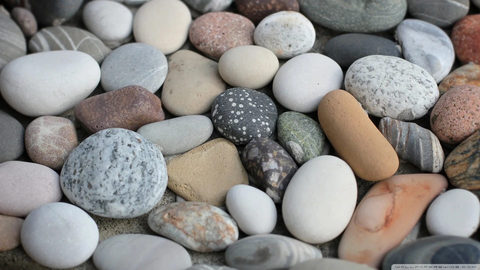 Stones de. Морские камни. Плитка камушки. Камни морская галька. Красивые камушки.
