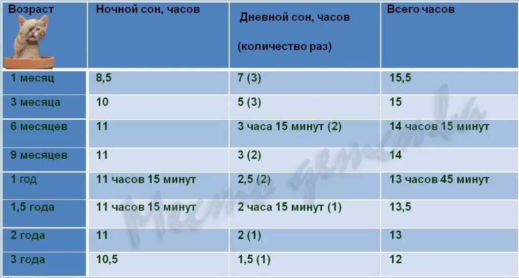 Дневной и ночной сон. Количество дневных снов. Дневной сон ребенка. Сон в возрасте ребенка 1 года. Сколько часов спят месячные дети