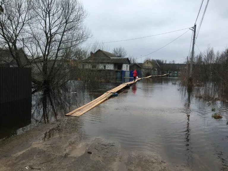 Половодье Сураж Брянской области. Паводок в Сураже Брянской области. Ипуть половодье Сураж. Водоемы в Сураже Брянской области. Уровень воды в реке ипуть в добруше