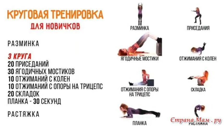 Кардио тренировка в зале для девушек. Упражнения для круговой тренировки дома для сжигания жира. упражнения для круговой тренировки в зале тренажерном зале. пример круговой тренировки для сжигания жира. круговые тренировки для сжигания жира в тренажерном зале план женщин.