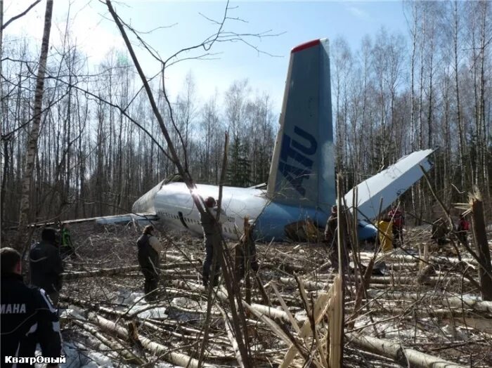 Ту 204 в лесу Домодедово. Ту 204 катастрофа в Домодедово. Крушение ту 204 в Домодедово. 64011 Ту 204 катастрофа. Авиакатастрофа 2010