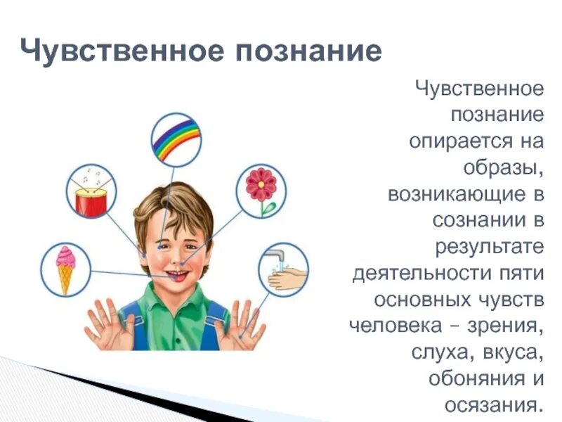 Познание с помощью. Познание. Чувственное познание.. Чувственное познание иллюстрации. Чувственное познание для презентации.