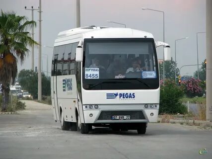 Пегас автобус на маршруте