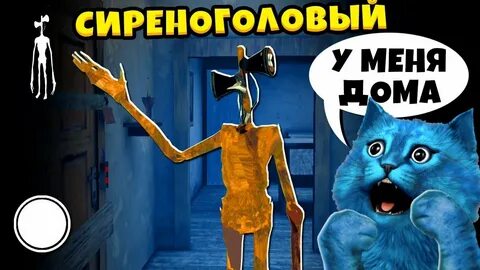 Коте сиреноголовый