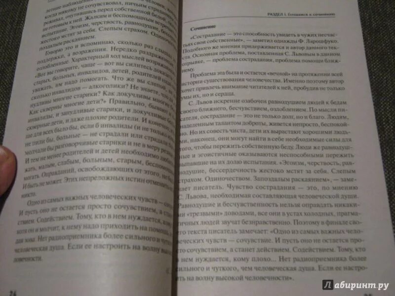 Амелина сочинения ЕГЭ. Сочинение ЕГЭ Милосердие. Заслуживает ли преступник сочувствие сочинение