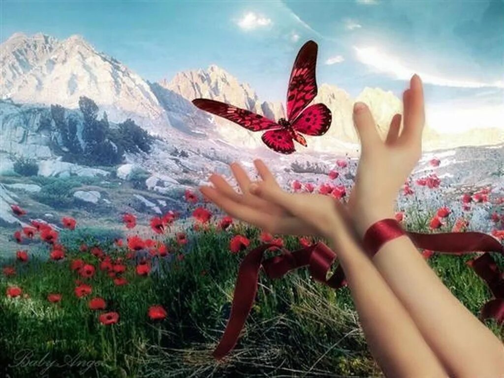 Ум красота доброта