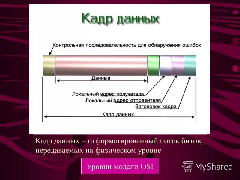 Кадры информация