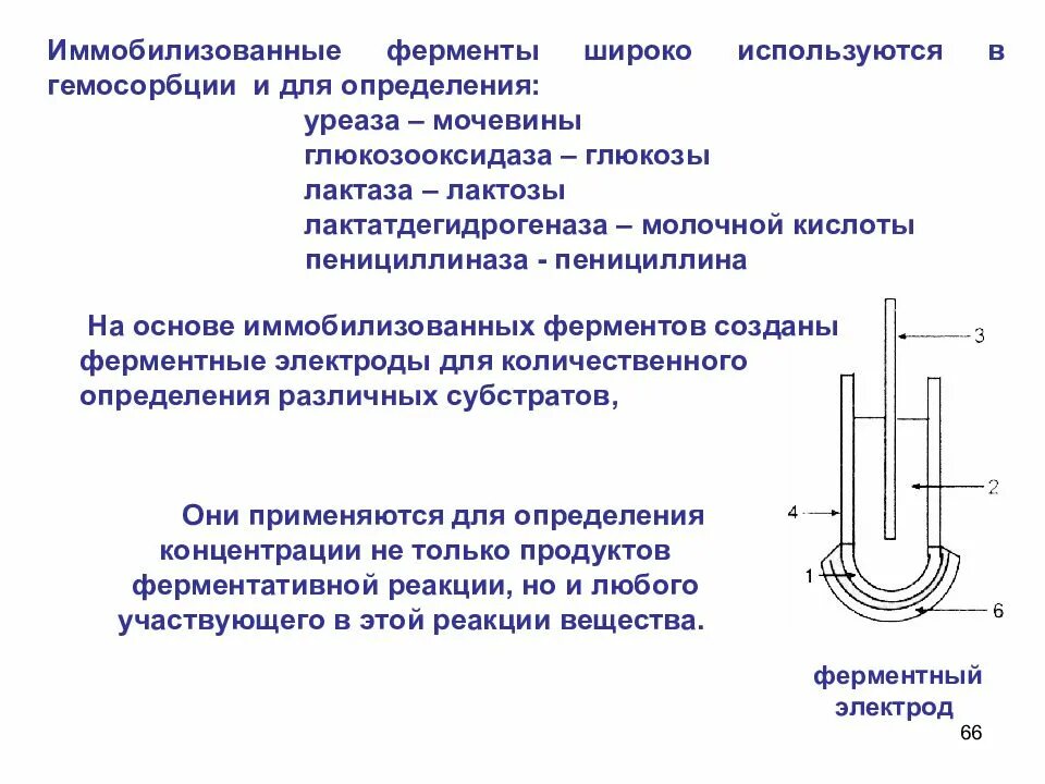 Количественного определения ферментов. Иммобилизованные ферменты. Ферментные электроды. Уреаза фермент. Ферментный электрод для определения мочевины.