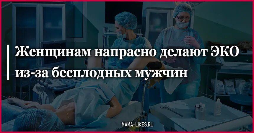 Эко от донора. Как делают эко женщинам. Как делают эко мужчине. Фото эко как делают делают женщинам. Как делают эко если мужчина бесплоден.