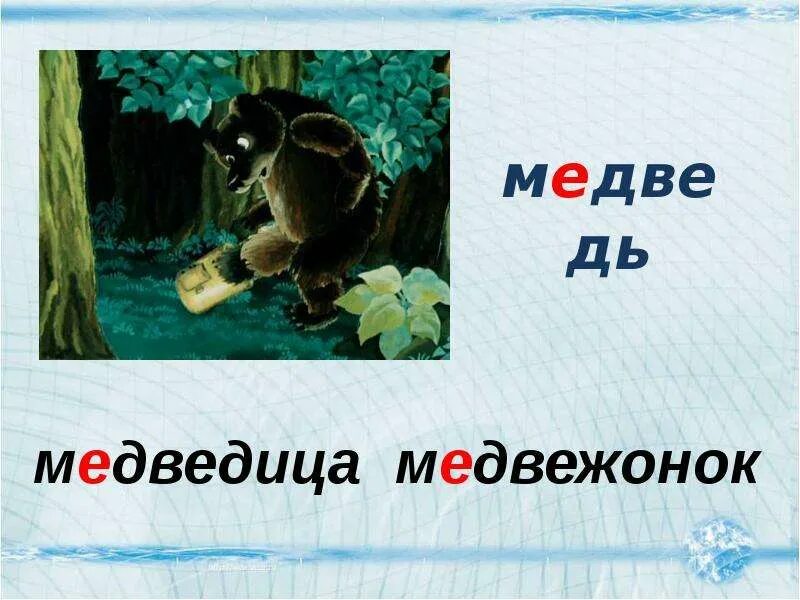 Окончание слова медведь. Медведь Медведица Медвежонок суффиксы. Корень в слове медведь и Медвежонок. Корень слова медведь. Корень в слове медведь и Медведица.