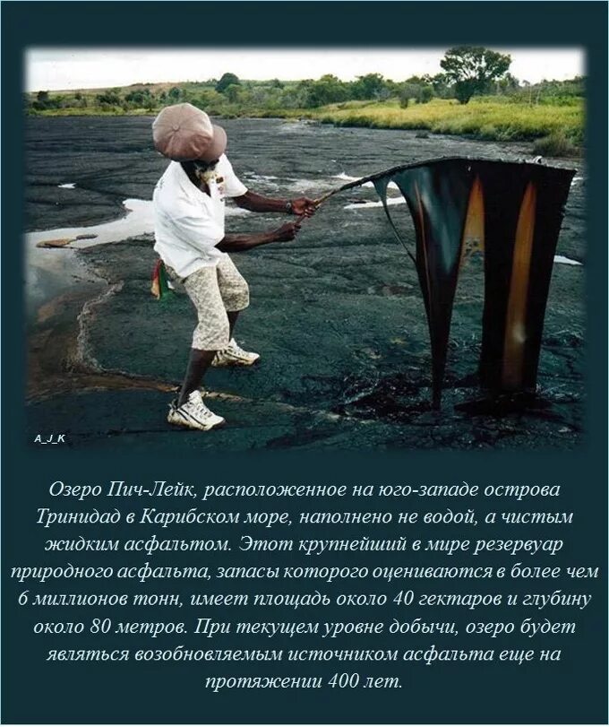 Какая нибудь интересная тема. Интересные факты в картинках. Интересные и необычные факты. Забавные факты. Какие нибудь интересные факты про.