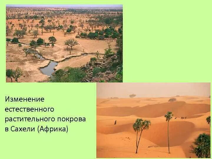 Определите тип климата сахель. Сахель это в географии 7 класс. линия сахели. рассмотрите фото сахеля на с 106 и ответьте на вопросы. в какой природной зоне расположен сахель.
