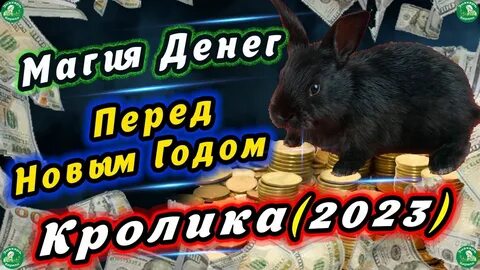 2023 год денежный