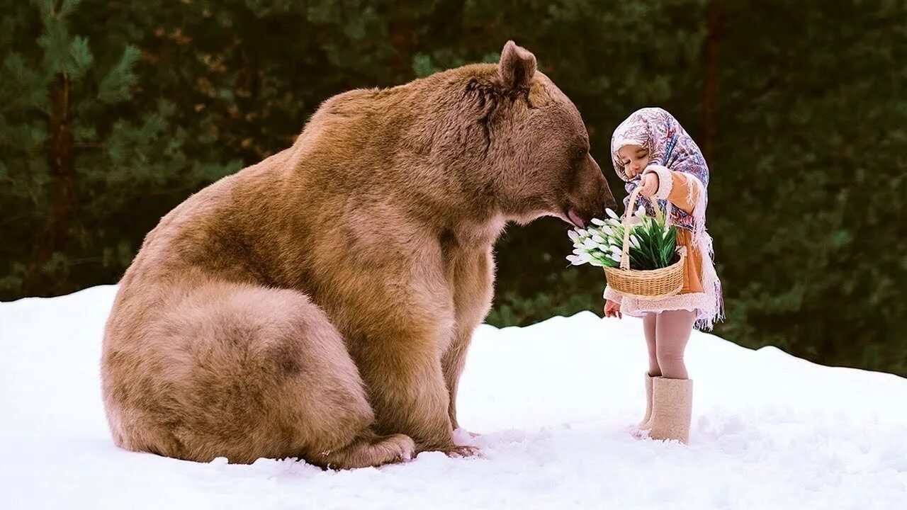 Медведь с медвежонком. Ольга баранцева фотограф. Кадьяк медведь и гризли. Бурый медведь. Меры предосторожности при встрече с медведем.