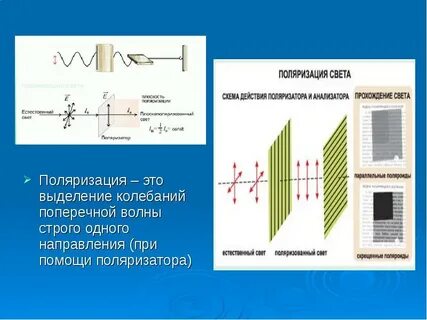 Поляризация механических волн 11 класс