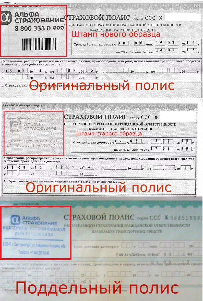 Номер страхового полиса ОСАГО. Поддельный страховой полис ОСАГО. Номер полиса ОСАГО номер. Полис осаго по вину автомобиля