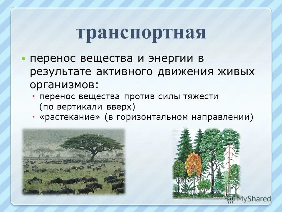 Деструктивная функция живого организма примеры Транспортная функция живого